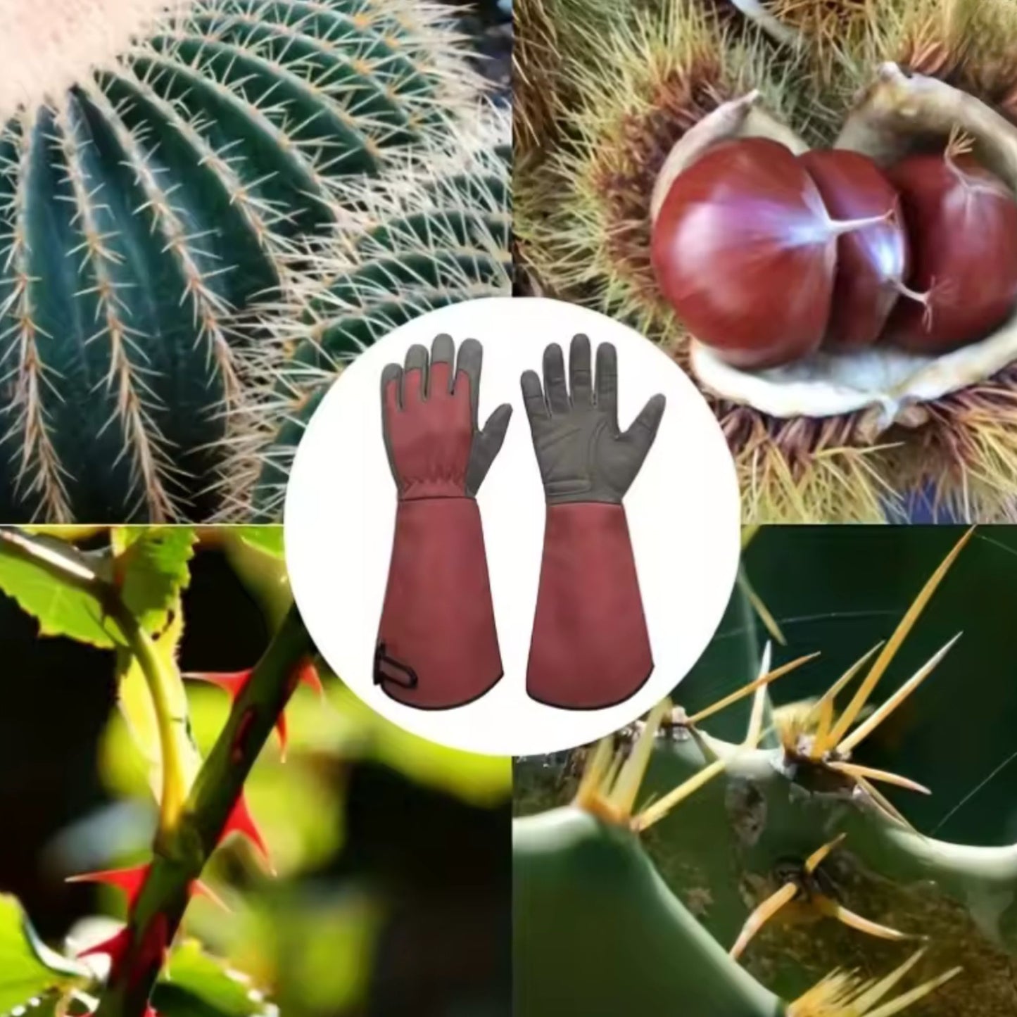 Auzardin - Gants