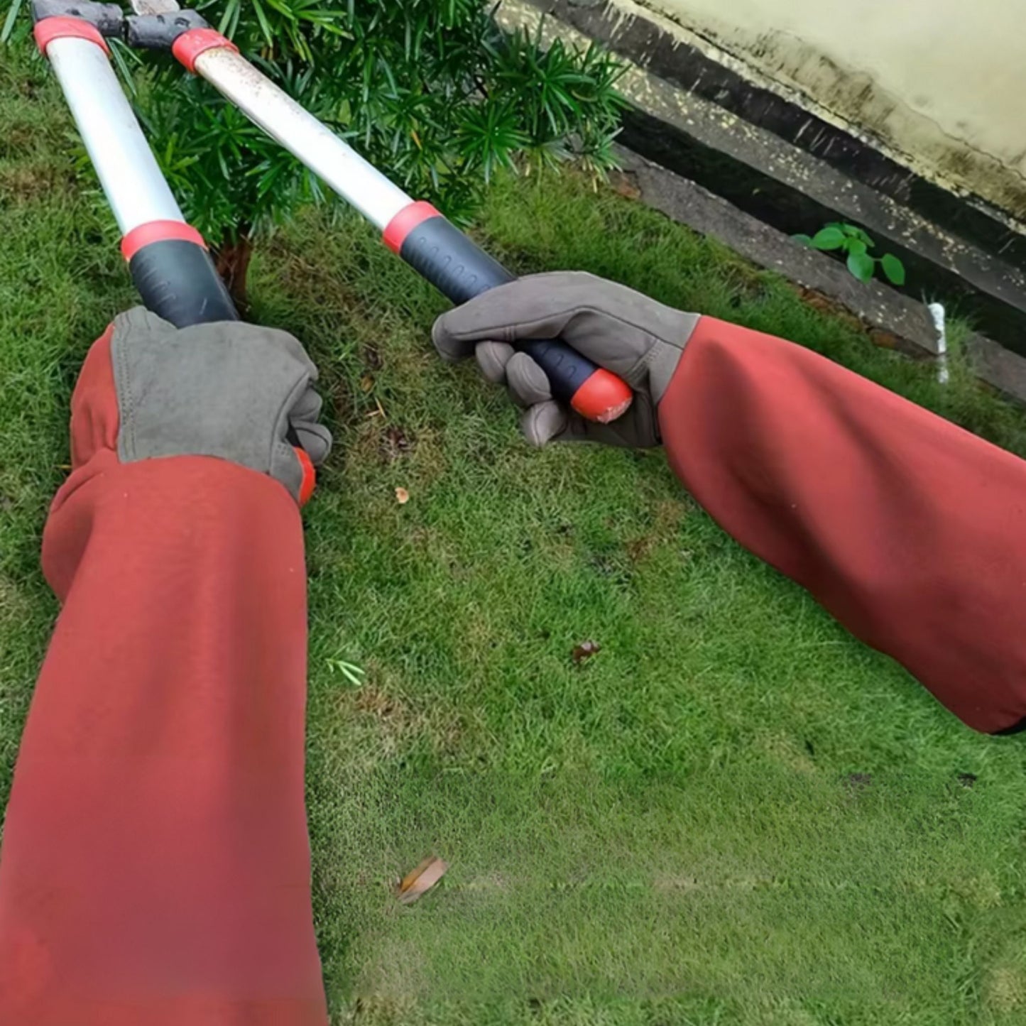Auzardin - Gants
